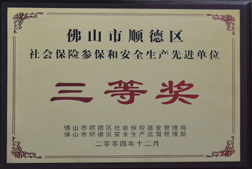 迪多-社會保險(xiǎn)參保和安全生產(chǎn)先進(jìn)單位